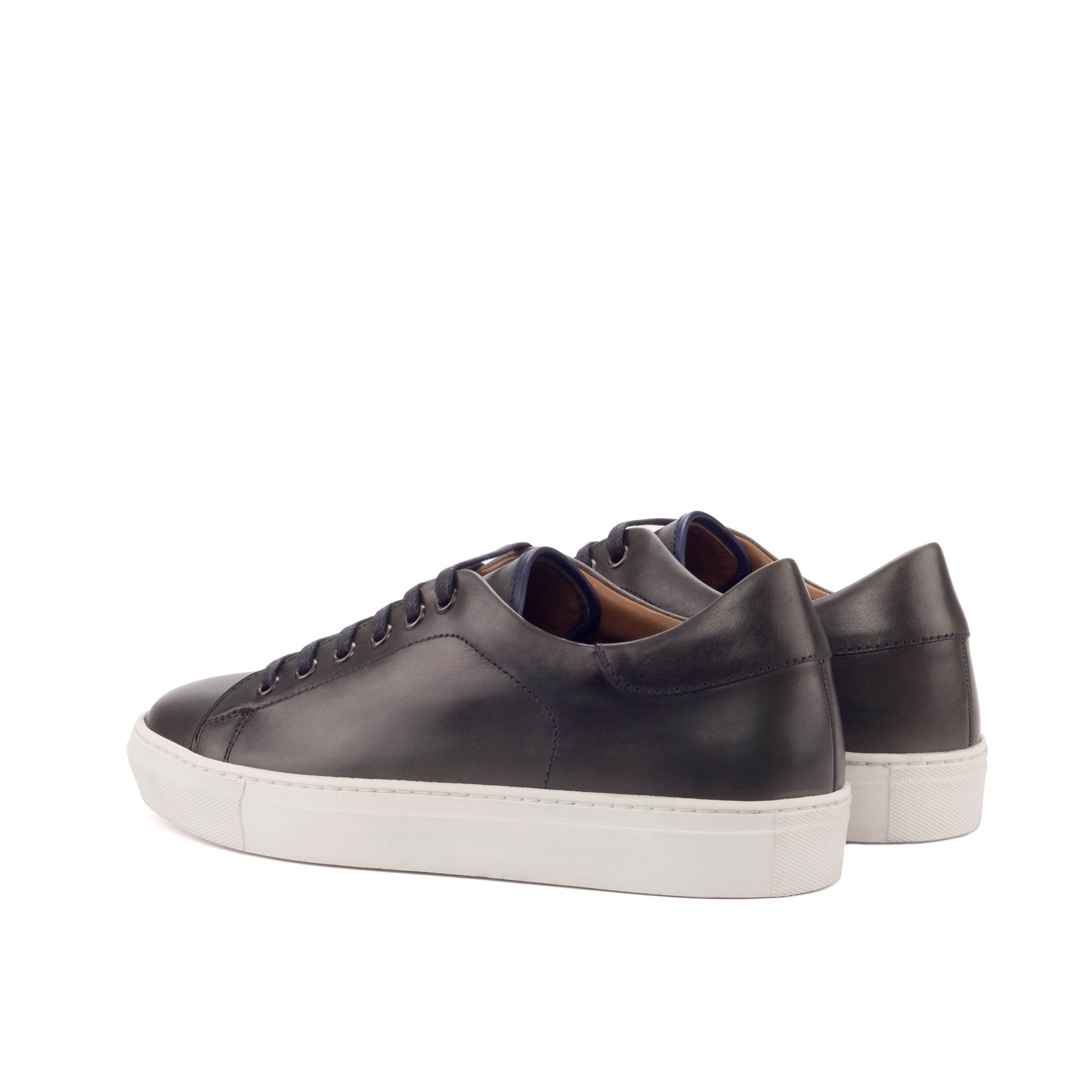 Trainer alternate view