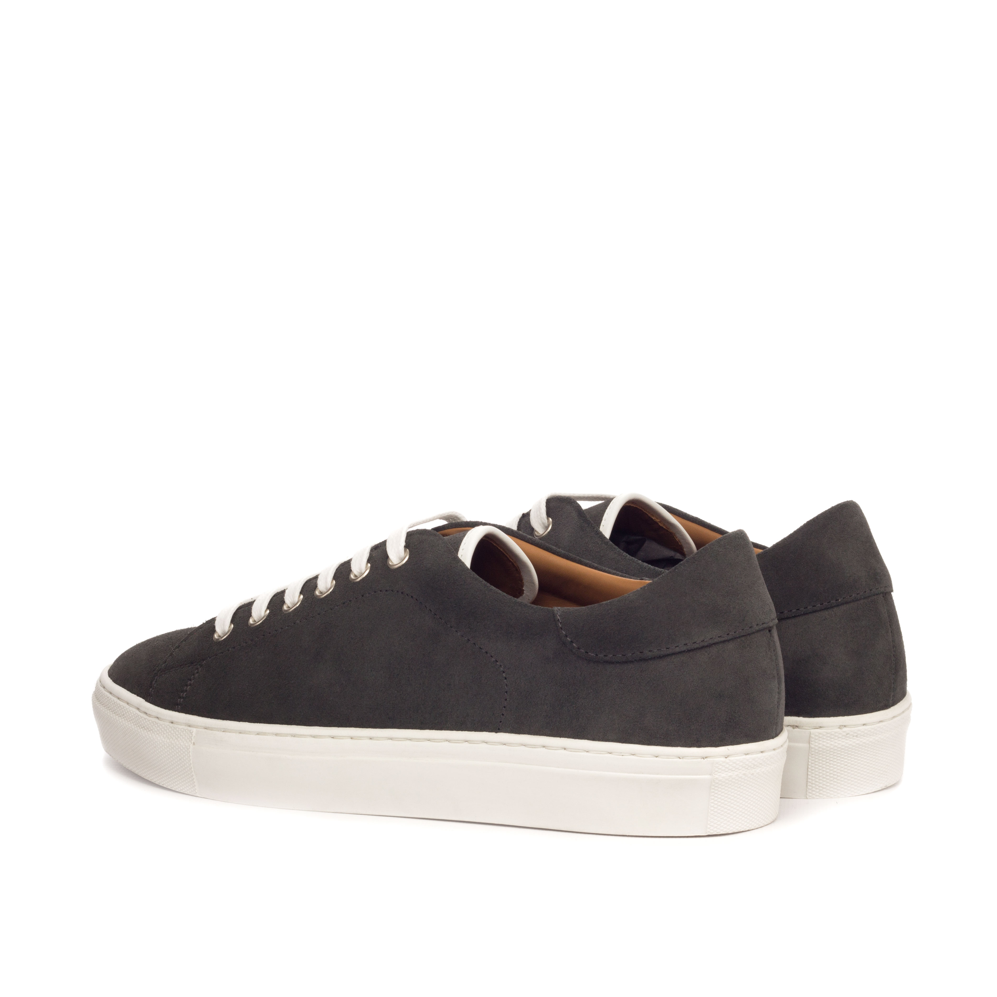 Trainer alternate view