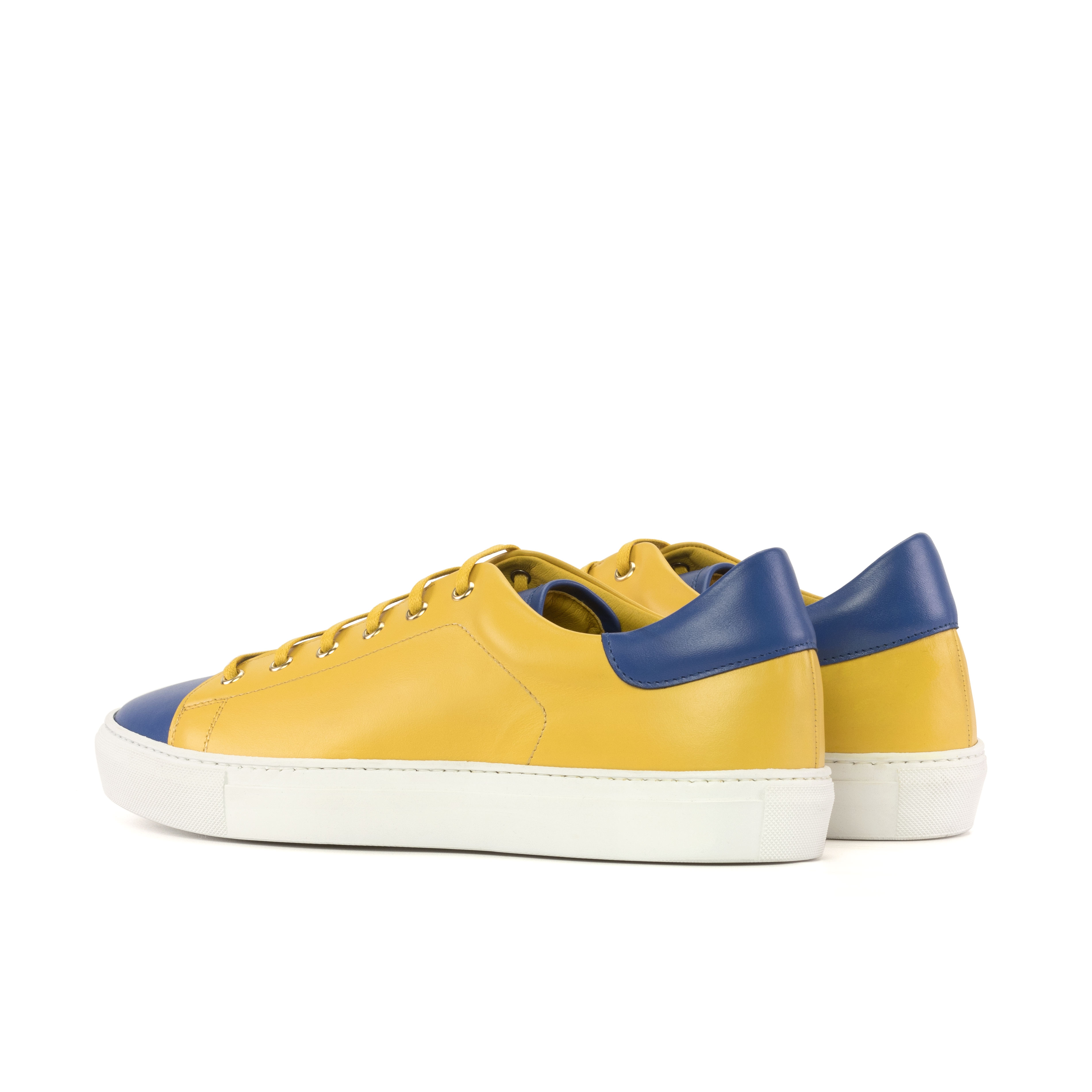 Trainer alternate view
