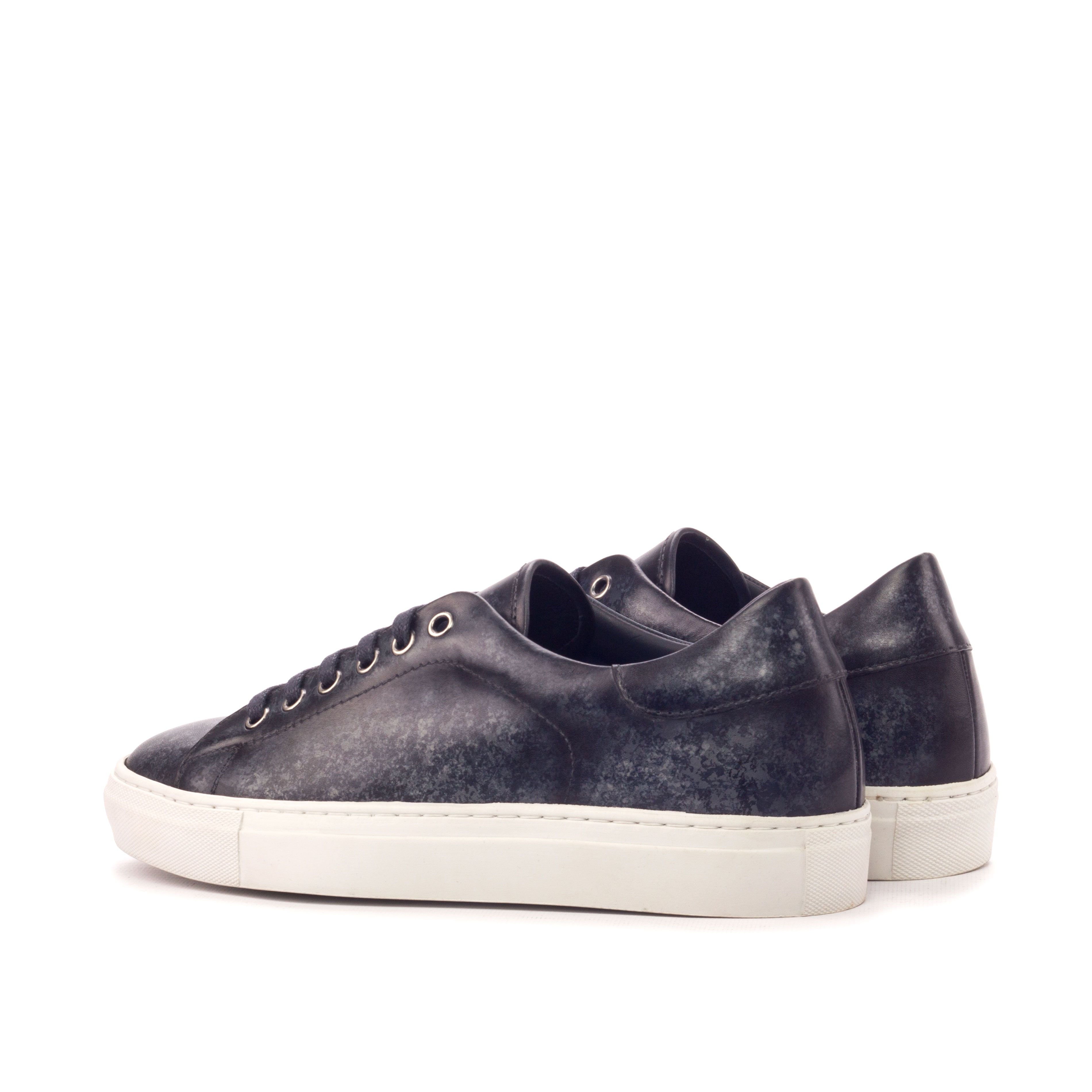 Trainer alternate view