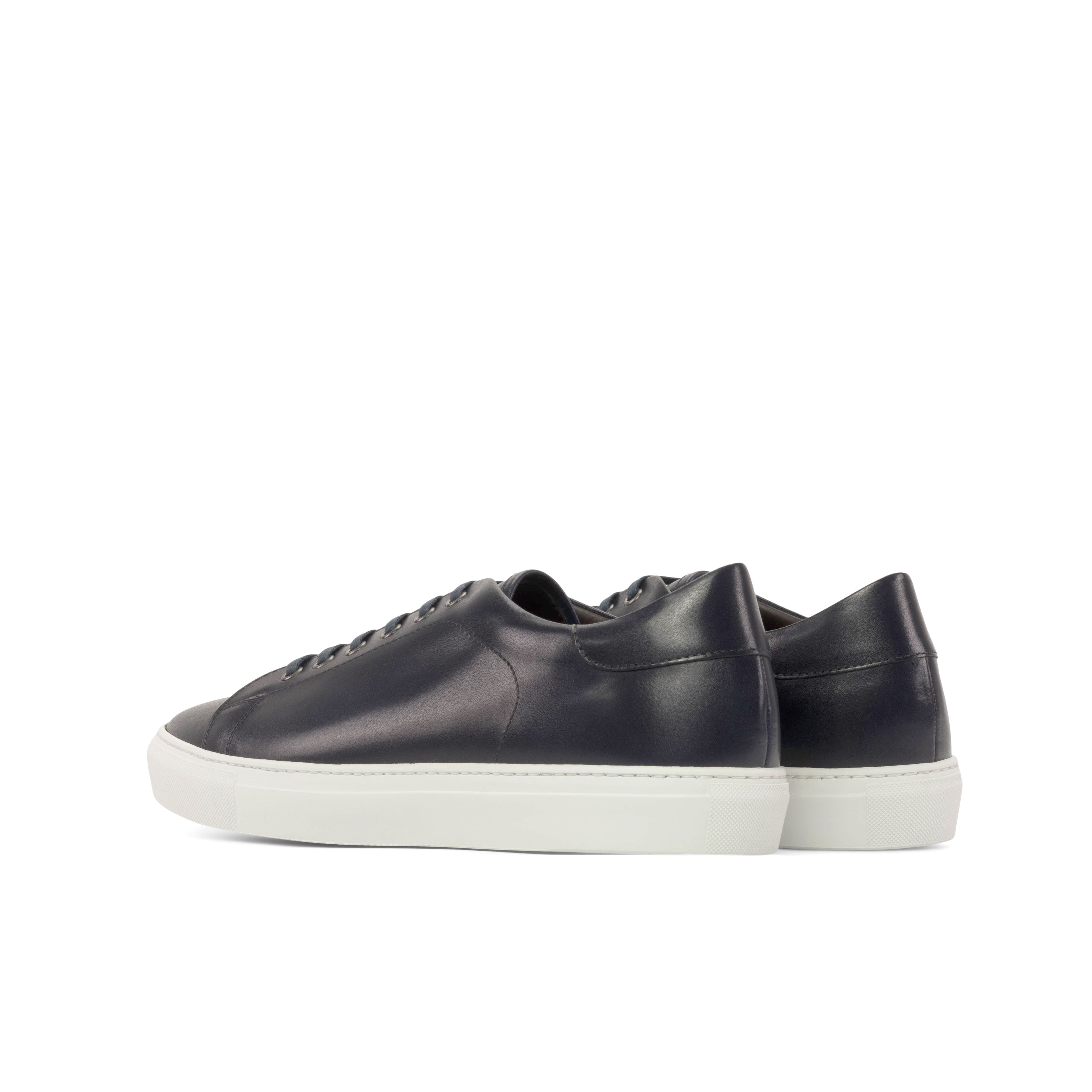 Trainer alternate view