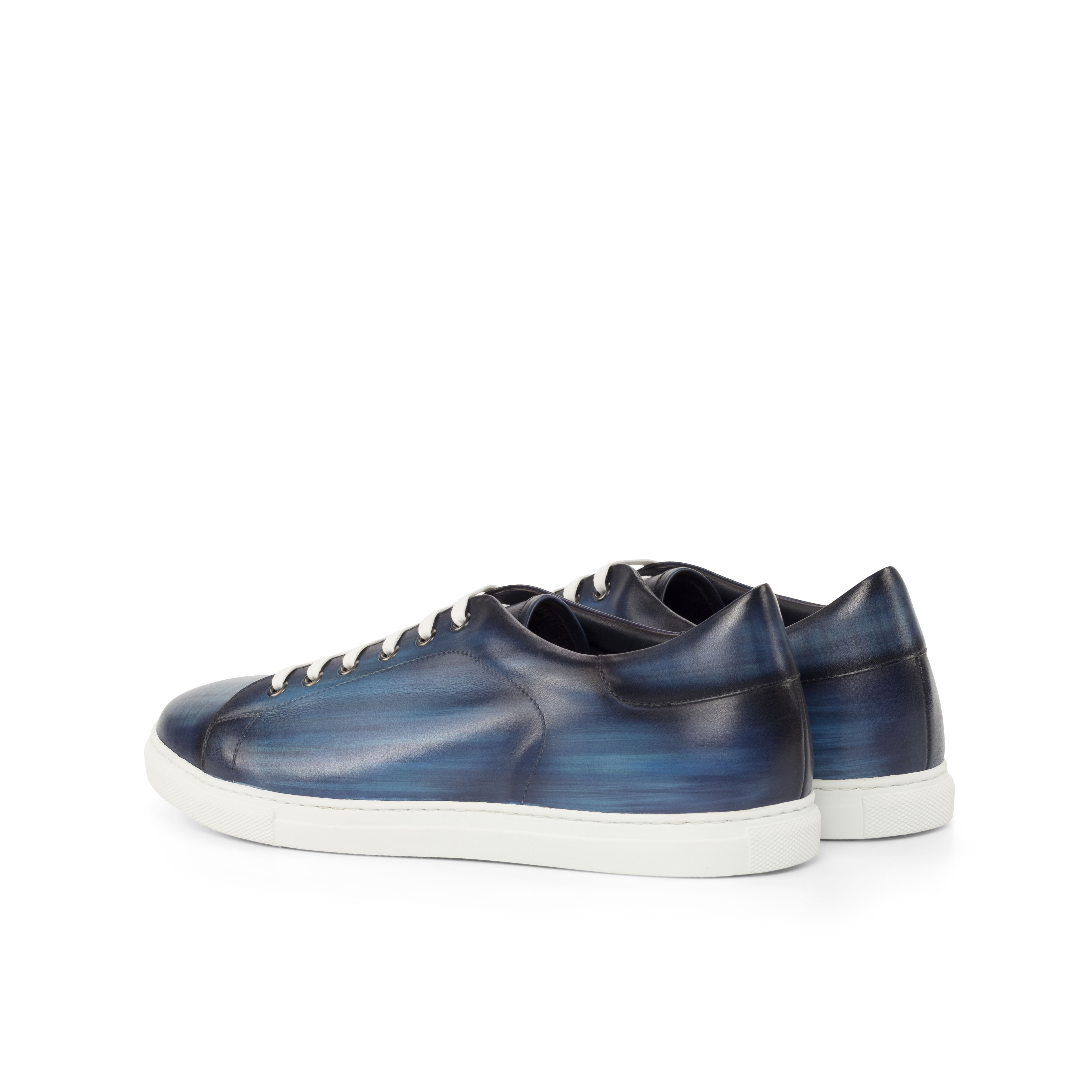 Trainer alternate view