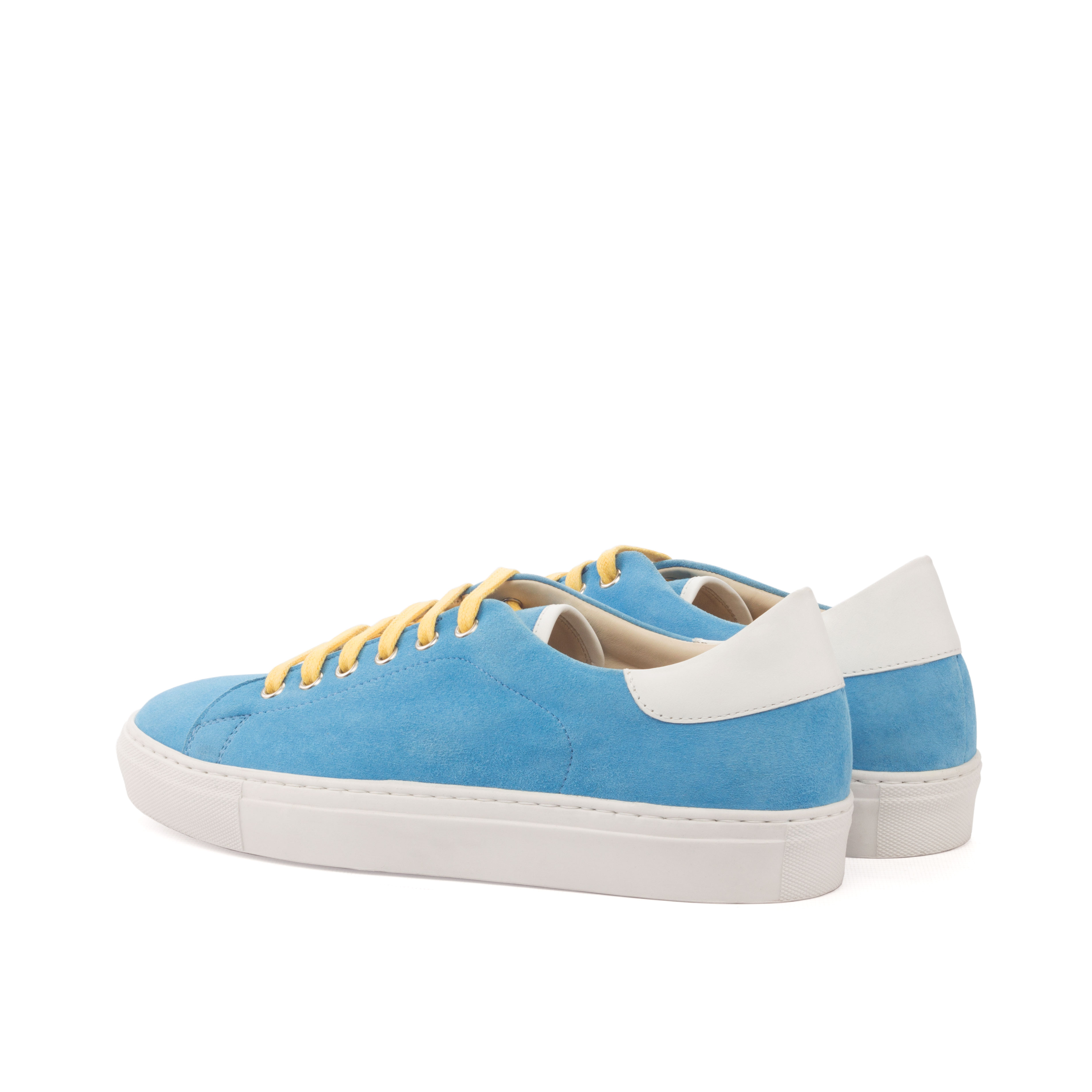 Trainer alternate view