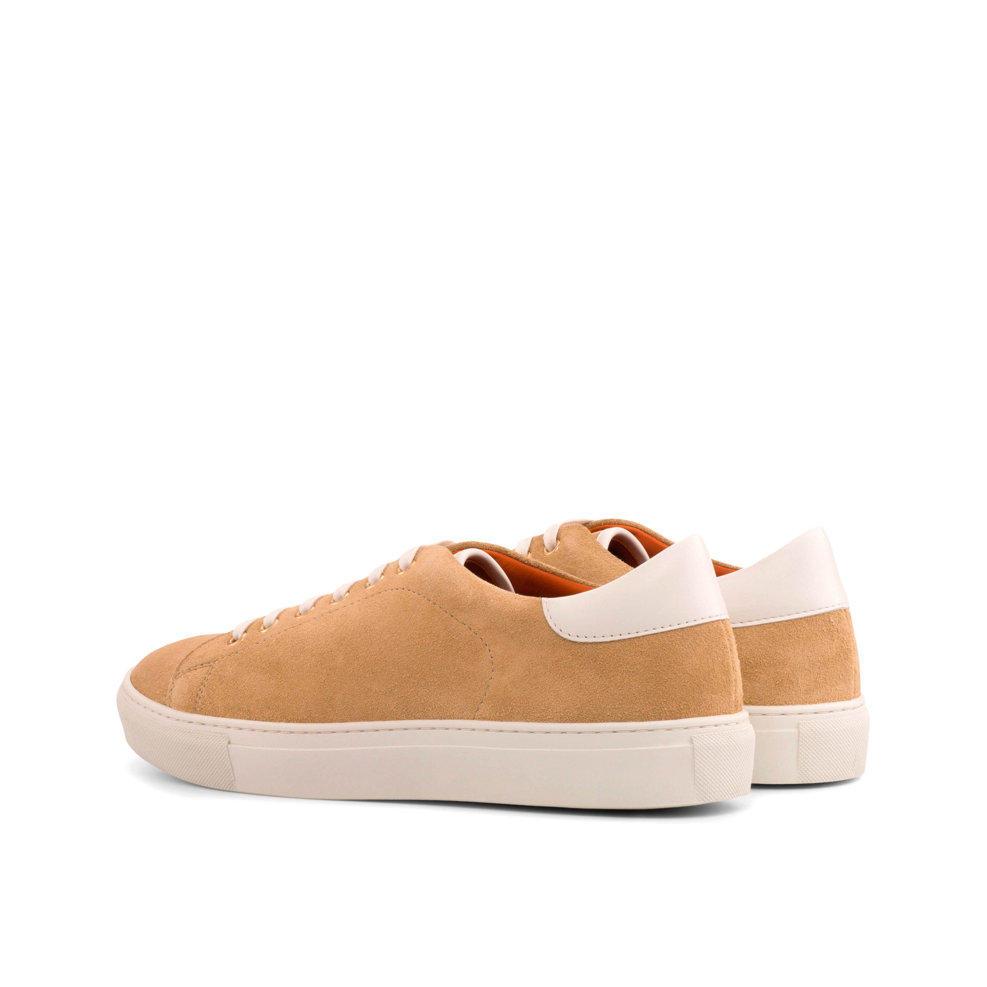 Trainer alternate view